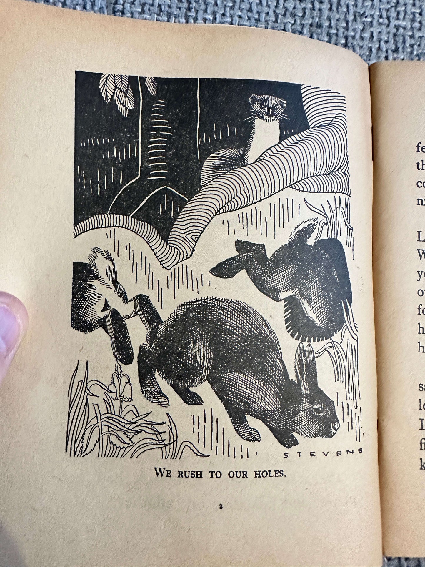 1961 Animals At Home (Little Books No1) Enid Blyton (Whyte cover art) W. A. K. Johnston & G. W. Bacon Ltd
