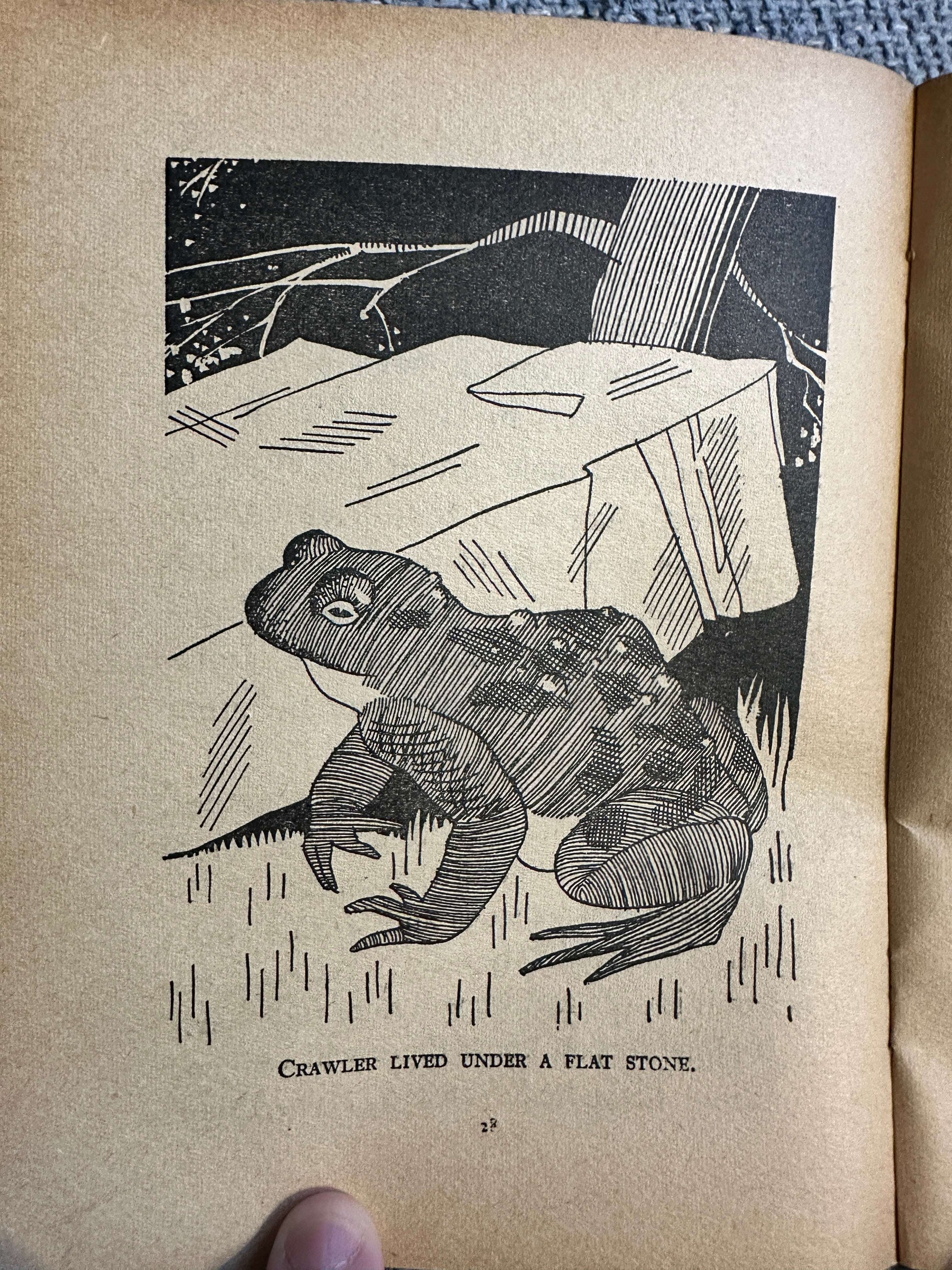 1961 Animals At Home (Little Books No1) Enid Blyton (Whyte cover art) W. A. K. Johnston & G. W. Bacon Ltd