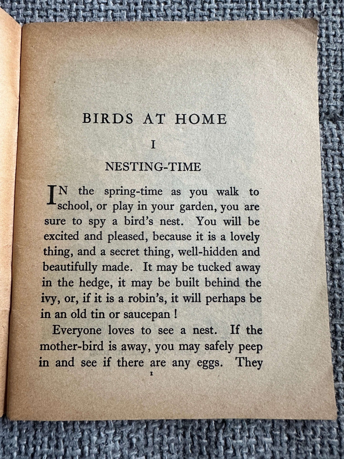 1963 Birds At Home (Little Books 17) Enid Blyton (W. & A. K. Johnston & G. W. Bacon Ltd)
