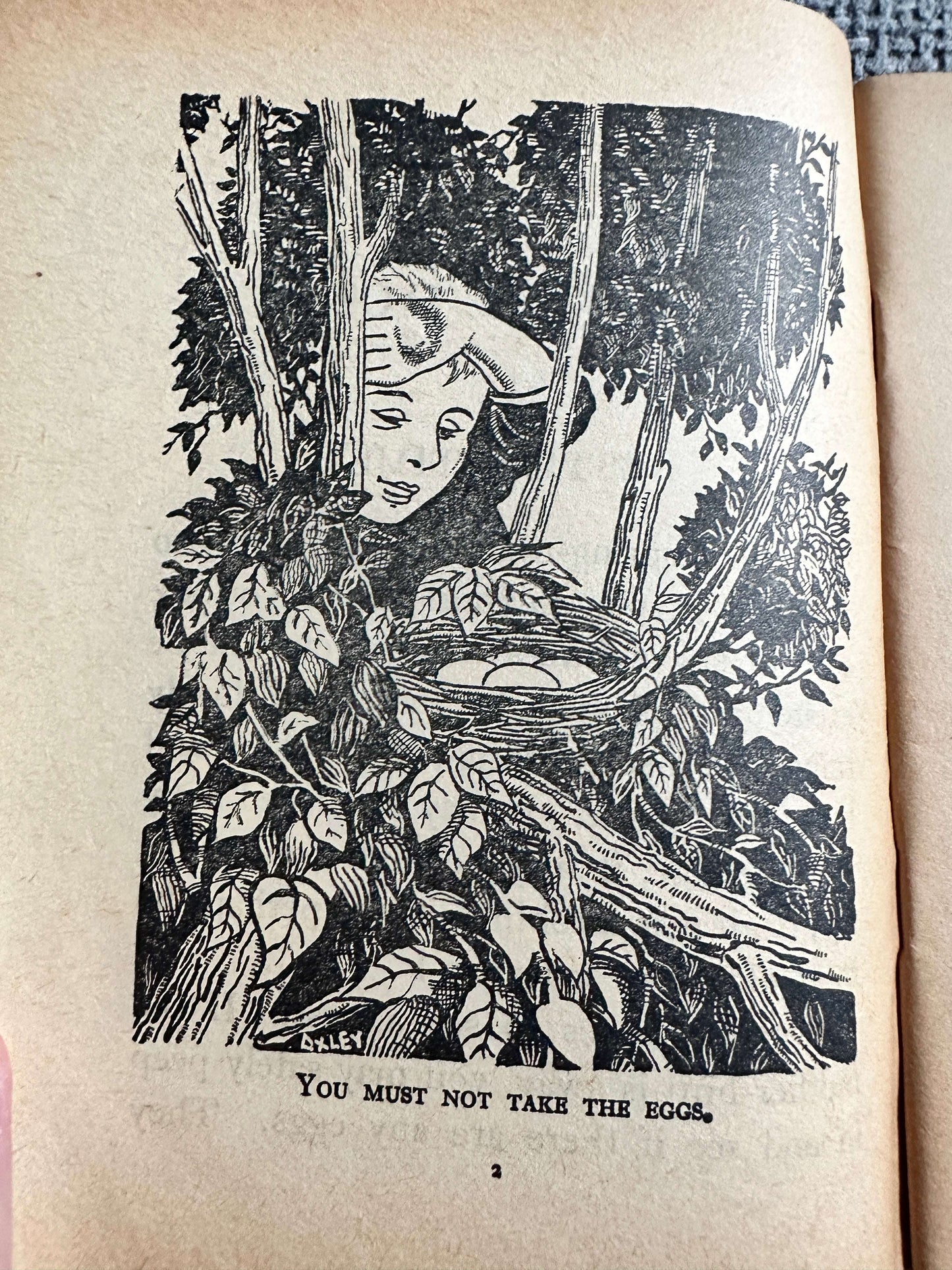 1963 Birds At Home (Little Books 17) Enid Blyton (W. & A. K. Johnston & G. W. Bacon Ltd)
