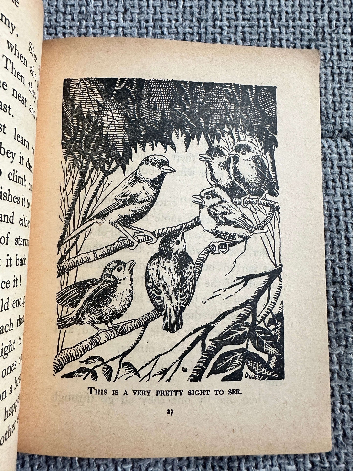 1963 Birds At Home (Little Books 17) Enid Blyton (W. & A. K. Johnston & G. W. Bacon Ltd)