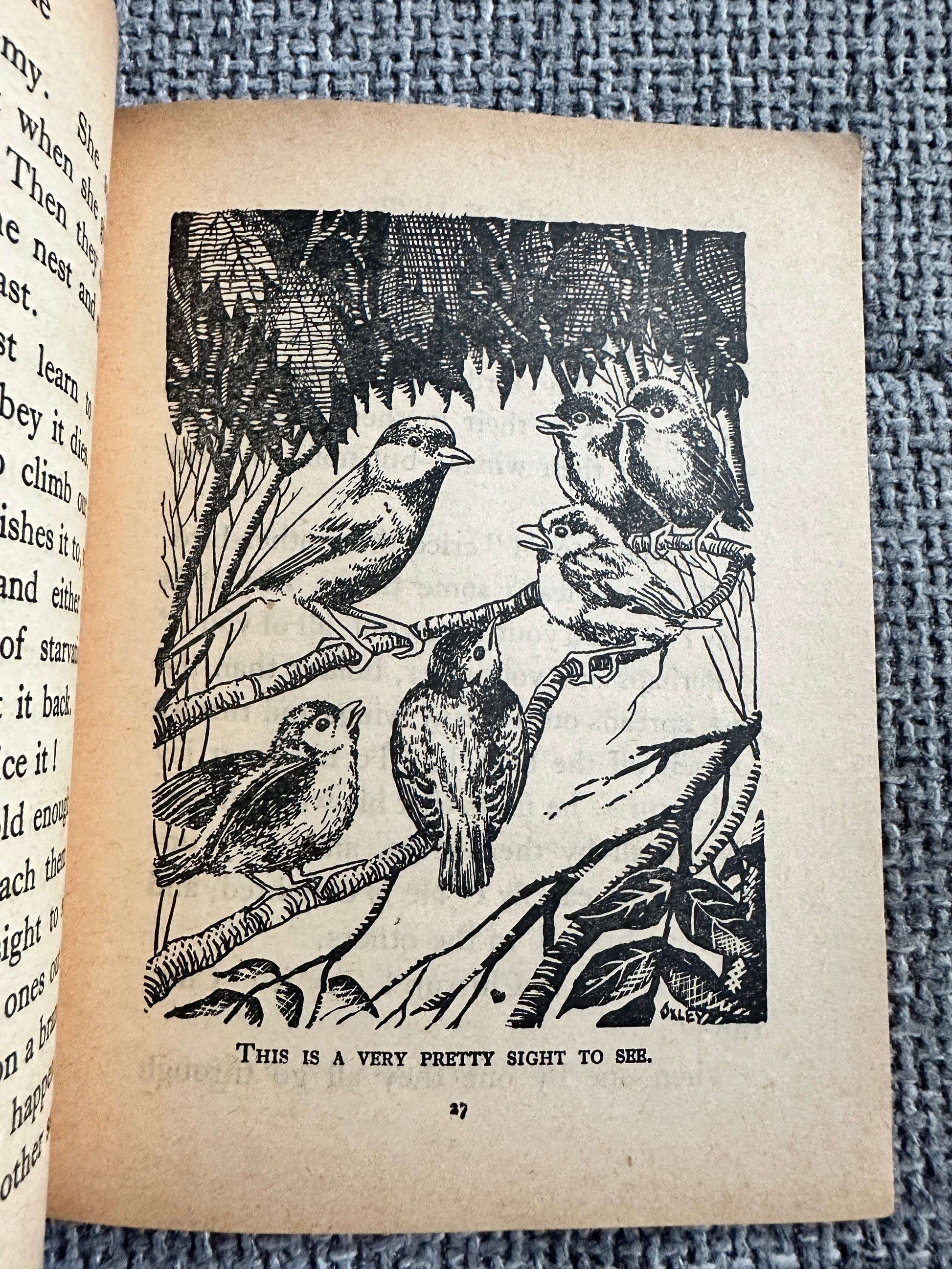 1963 Birds At Home (Little Books 17) Enid Blyton (W. & A. K. Johnston & G. W. Bacon Ltd)