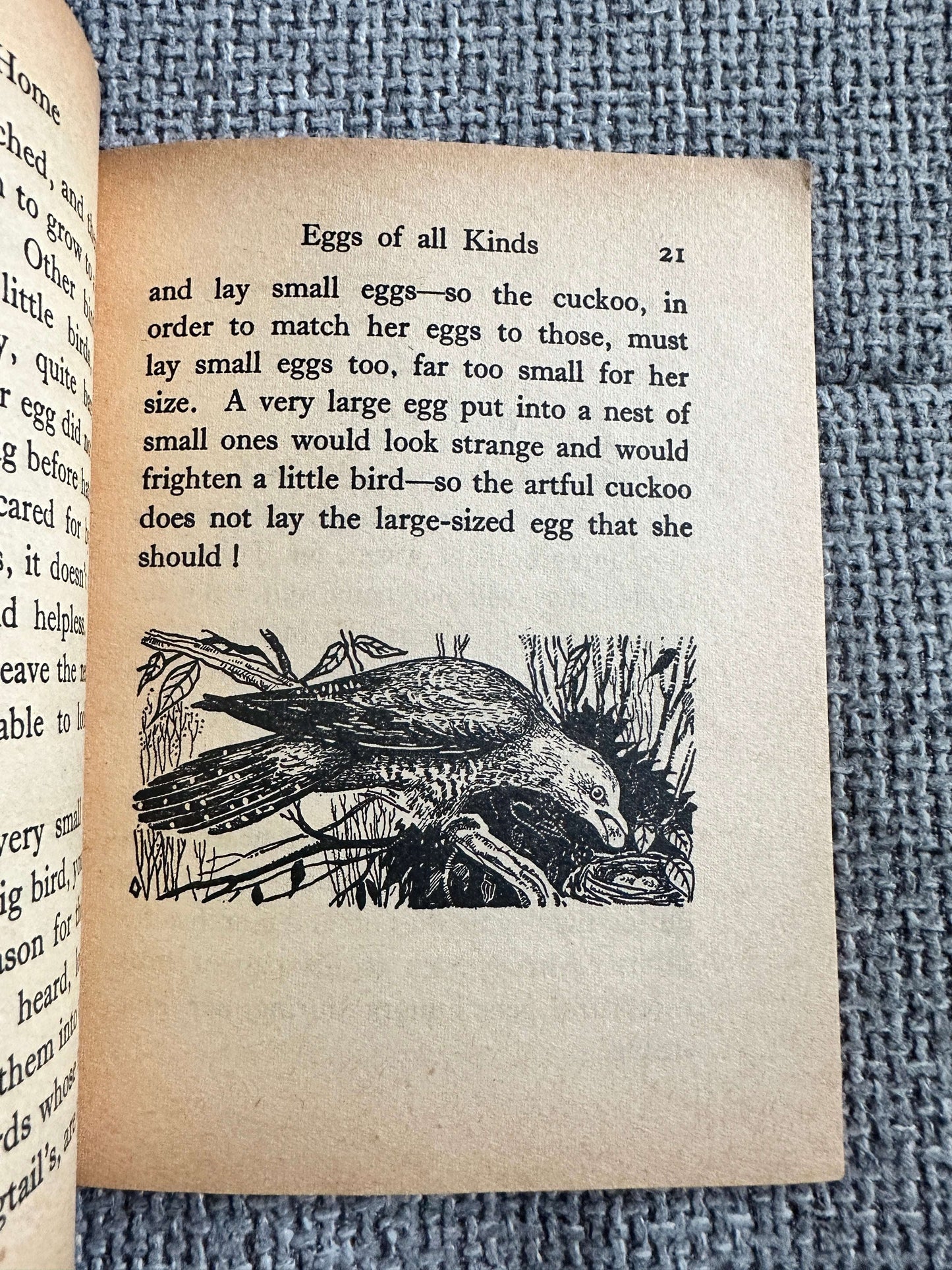 1963 Birds At Home (Little Books 17) Enid Blyton (W. & A. K. Johnston & G. W. Bacon Ltd)