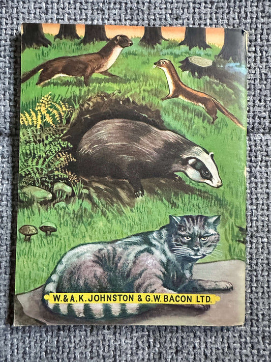 1955 Friends Of The Countryside (Little Books 11) Enid Blyton (MacDowell Illust) W. & A. K. Johnston & G. W. Bacon Ltd