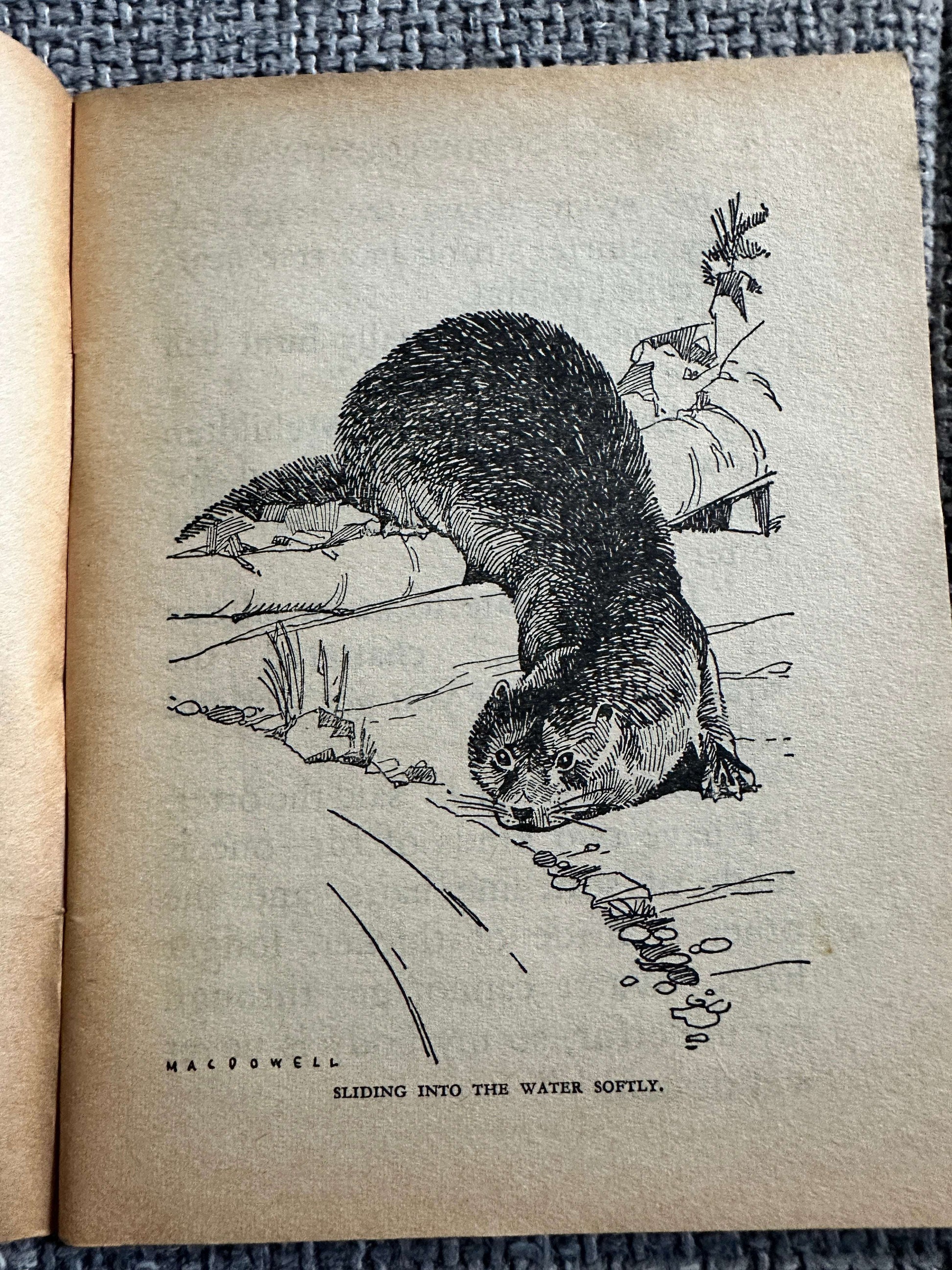1955 Friends Of The Countryside (Little Books 11) Enid Blyton (MacDowell Illust) W. & A. K. Johnston & G. W. Bacon Ltd