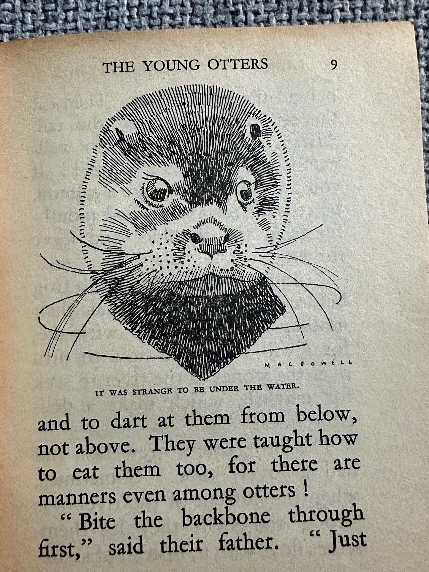 1955 Friends Of The Countryside (Little Books 11) Enid Blyton (MacDowell Illust) W. & A. K. Johnston & G. W. Bacon Ltd