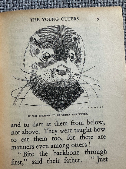 1955 Friends Of The Countryside (Little Books 11) Enid Blyton (MacDowell Illust) W. & A. K. Johnston & G. W. Bacon Ltd