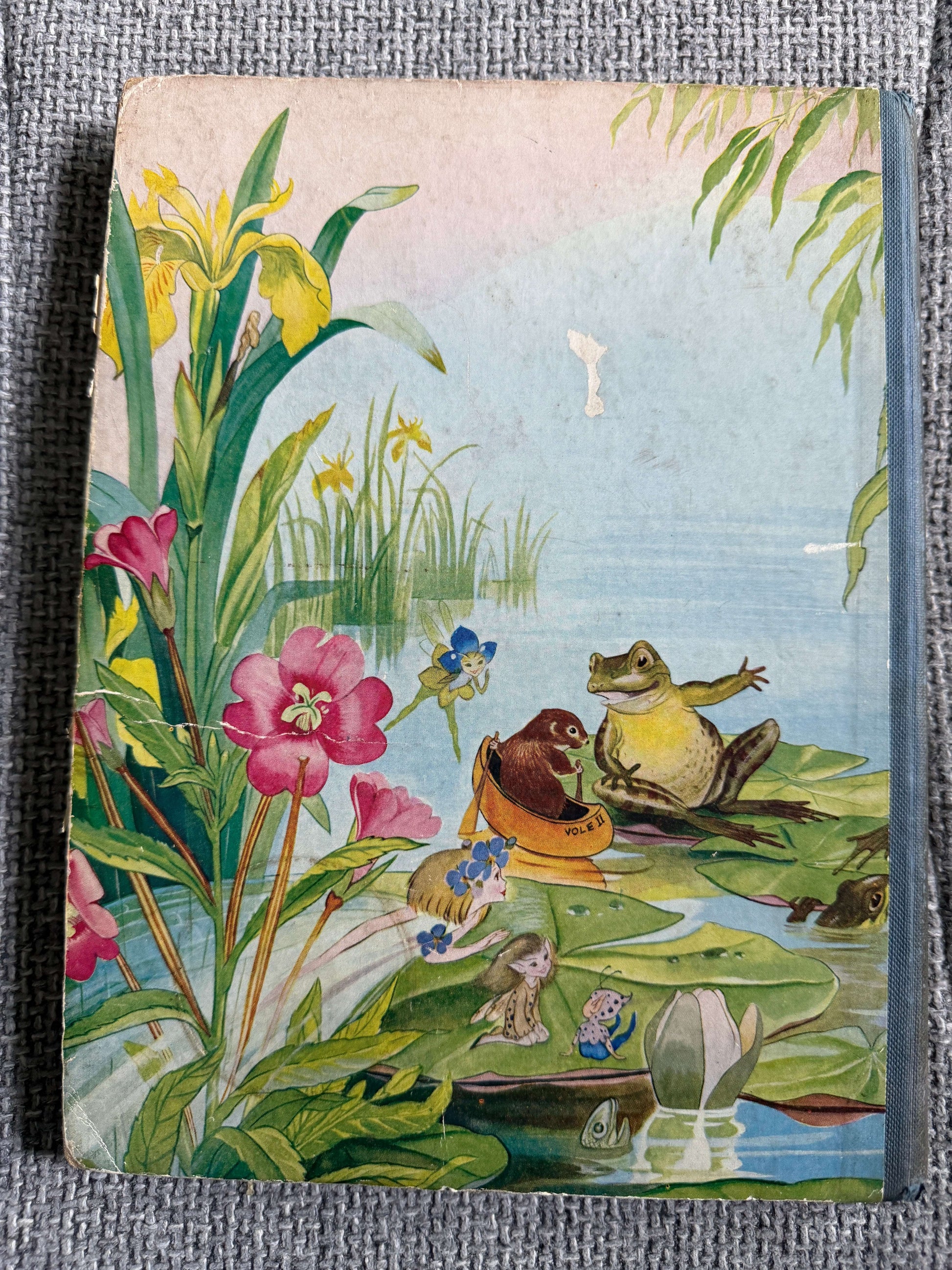 lily flower story 1953 The Water-Lily Story Book (Foyle's Flower Story Books) Enid Blyto – Honeyburn Books (UK)