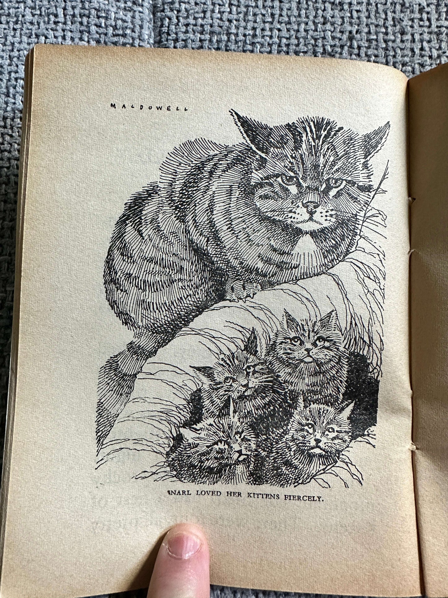 1955 Friends Of The Countryside (Little Books 11) Enid Blyton (MacDowell Illust) W. & A. K. Johnston & G. W. Bacon Ltd