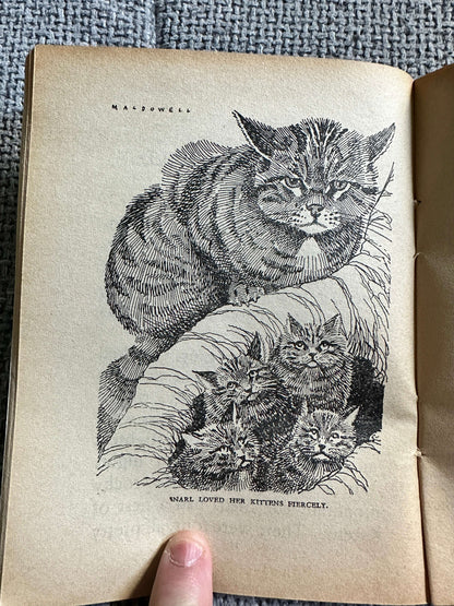 1955 Friends Of The Countryside (Little Books 11) Enid Blyton (MacDowell Illust) W. & A. K. Johnston & G. W. Bacon Ltd