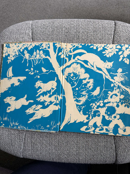 1953 The Water-Lily Story Book (Foyle’s Flower Story Books) Enid Blyton (Hilda Boswell illust) John Gifford