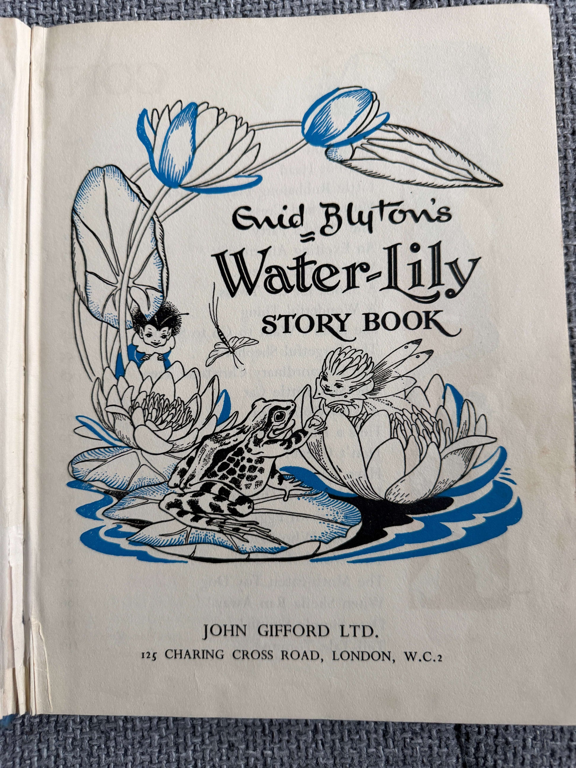lily flower story 1953 The Water-Lily Story Book (Foyle's Flower Story Books) Enid Blyto –  Honeyburn Books (UK)