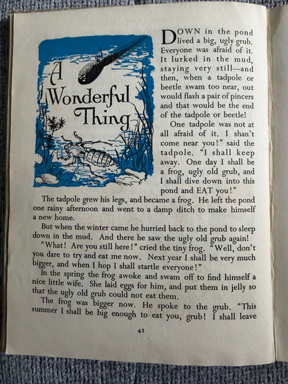 1953 The Water-Lily Story Book (Foyle’s Flower Story Books) Enid Blyton (Hilda Boswell illust) John Gifford
