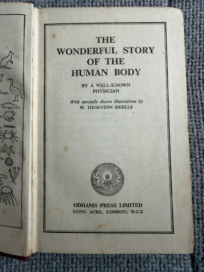 1938 The Wonderful Story Of The Human Body - A Well-Known Physician (W. Thornton Shiells illustrated) Oldham’s Press Ltd.