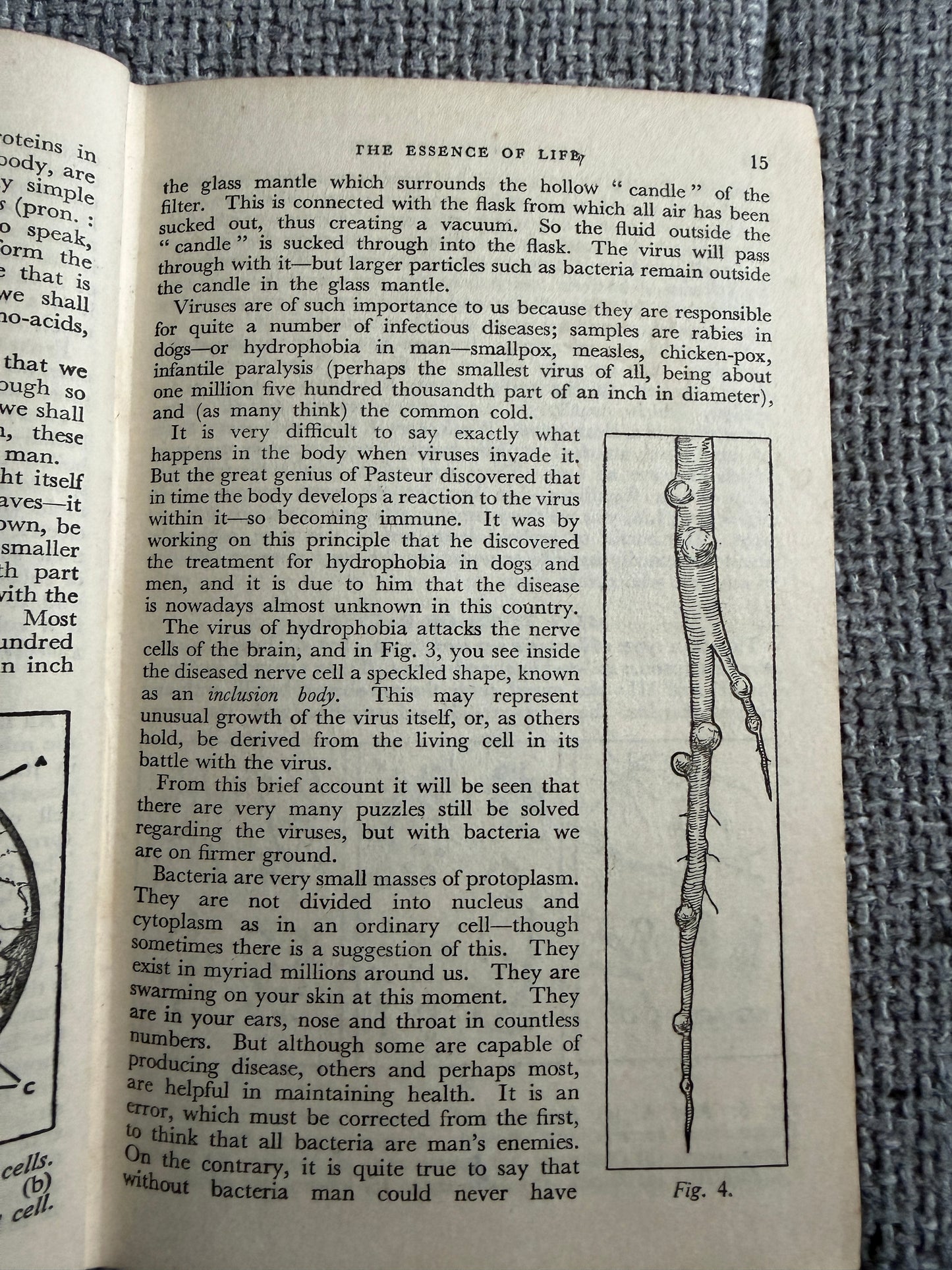 1938 The Wonderful Story Of The Human Body - A Well-Known Physician (W. Thornton Shiells illustrated) Oldham’s Press Ltd.