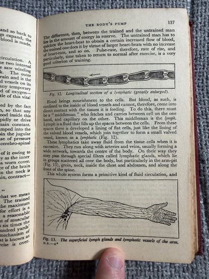 1938 The Wonderful Story Of The Human Body - A Well-Known Physician (W. Thornton Shiells illustrated) Oldham’s Press Ltd.