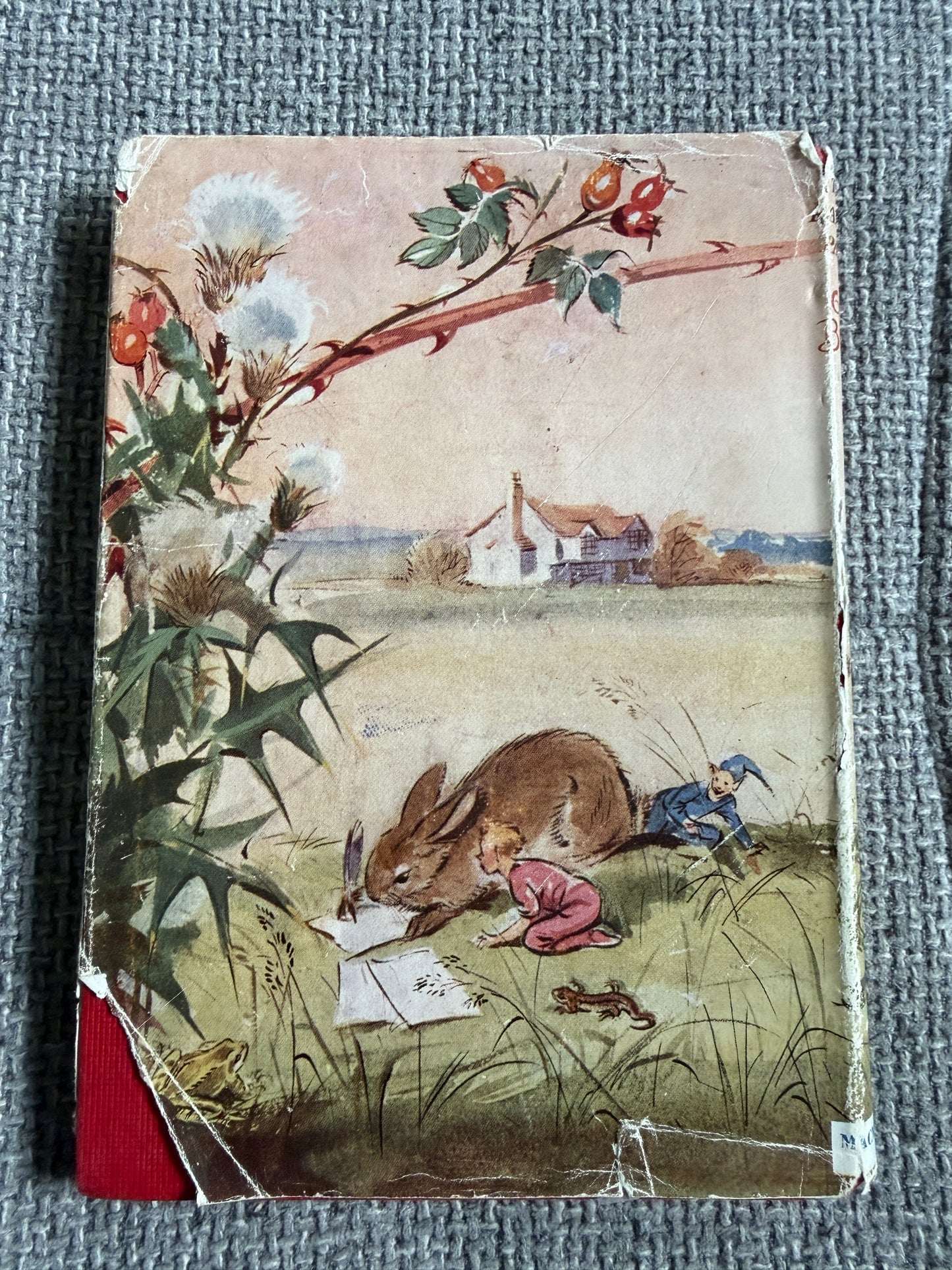 1958 The Rabbit’s Party (The 4th Nature Book) Enid Blyton (Eileen Soper illust) MacMillan & Co. Ltd. - Honeyburn Books (UK)