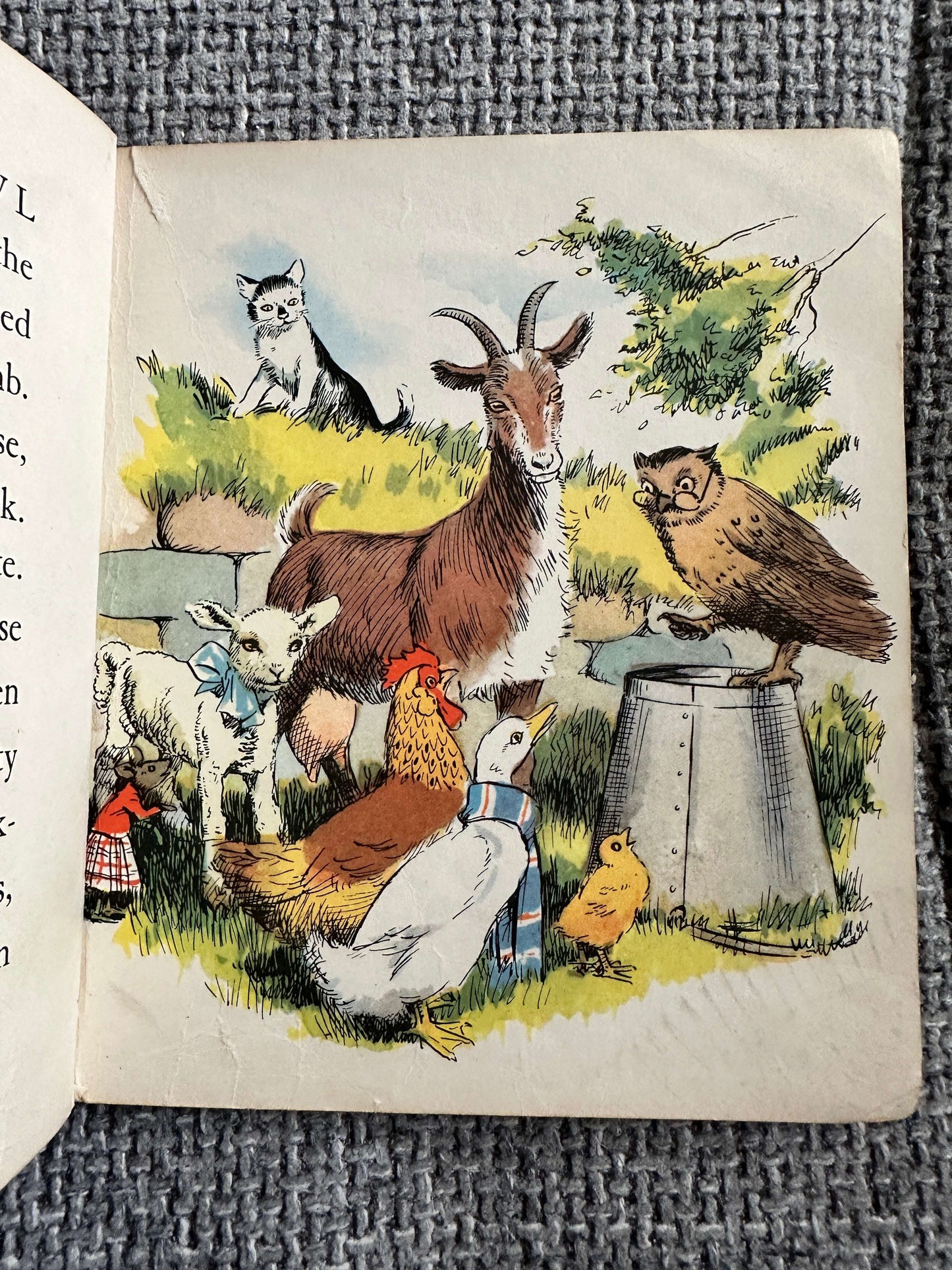 1960’s Henry Goes Visiting (BlackBerry Farm Books) Jane Pilgrim (F. Stocks May Illust) Brockhampton Press