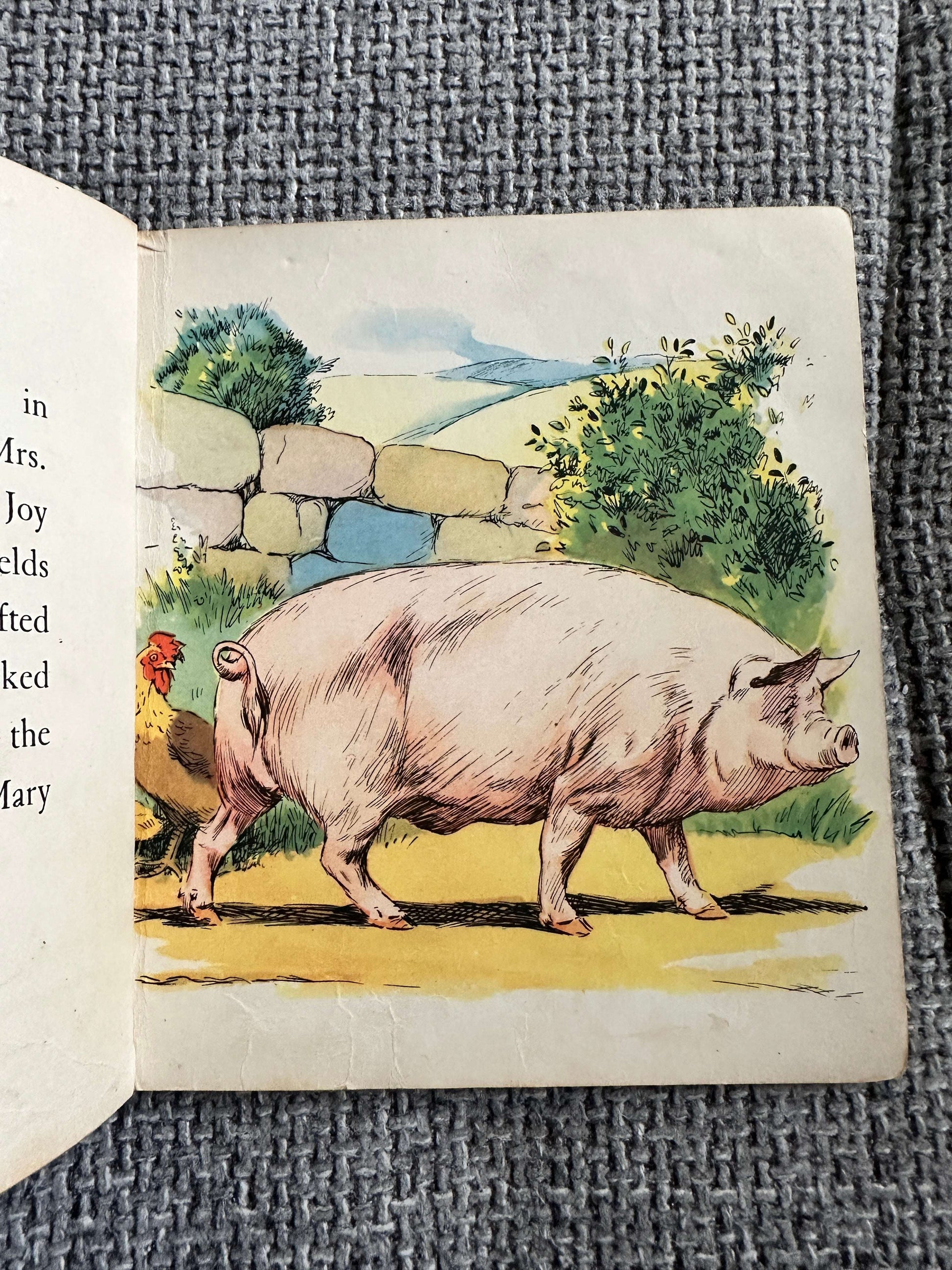 1960’s Henry Goes Visiting (BlackBerry Farm Books) Jane Pilgrim (F. Stocks May Illust) Brockhampton Press