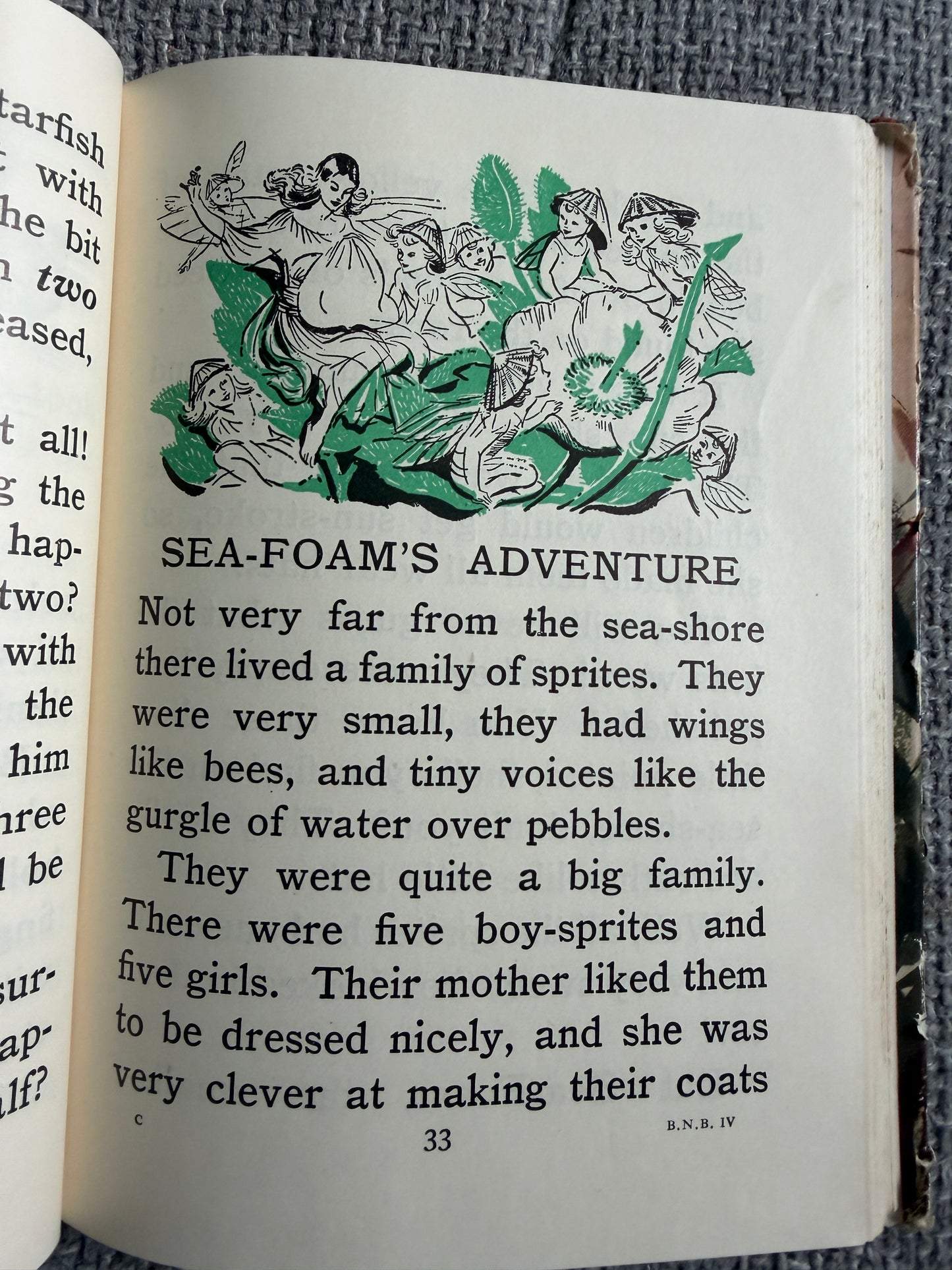 1958 The Rabbit’s Party (The 4th Nature Book) Enid Blyton (Eileen Soper illust) MacMillan & Co. Ltd. - Honeyburn Books (UK)