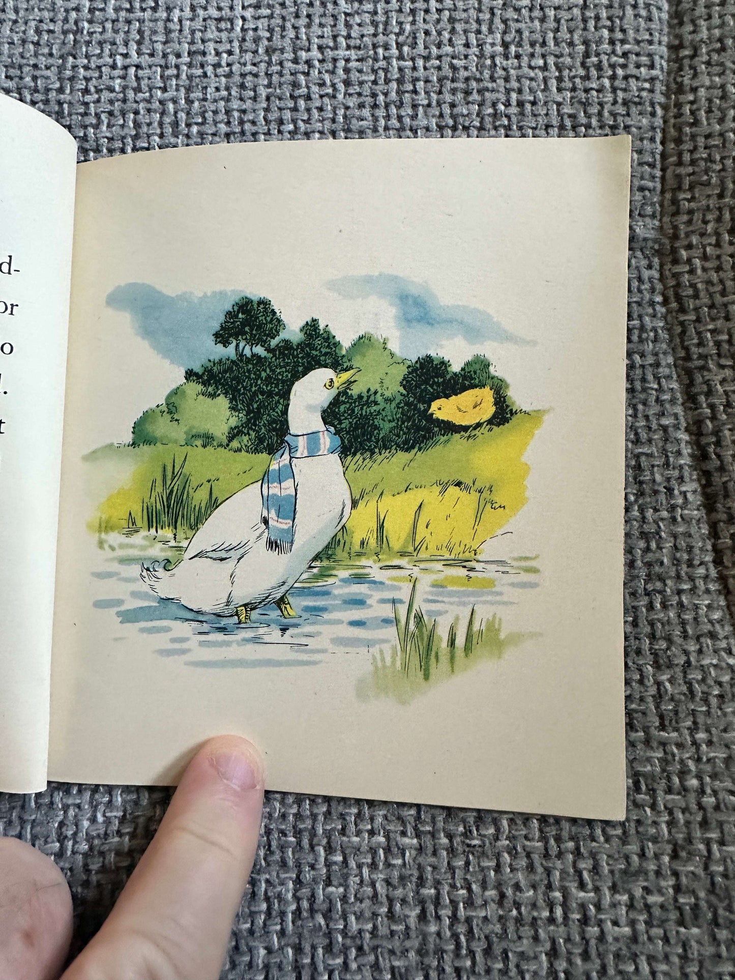 1950’s Mother Hen & Mary (BlackBerry Farm Books) Jane Pilgrim (F. Stocks May Illust) Brockhampton Press