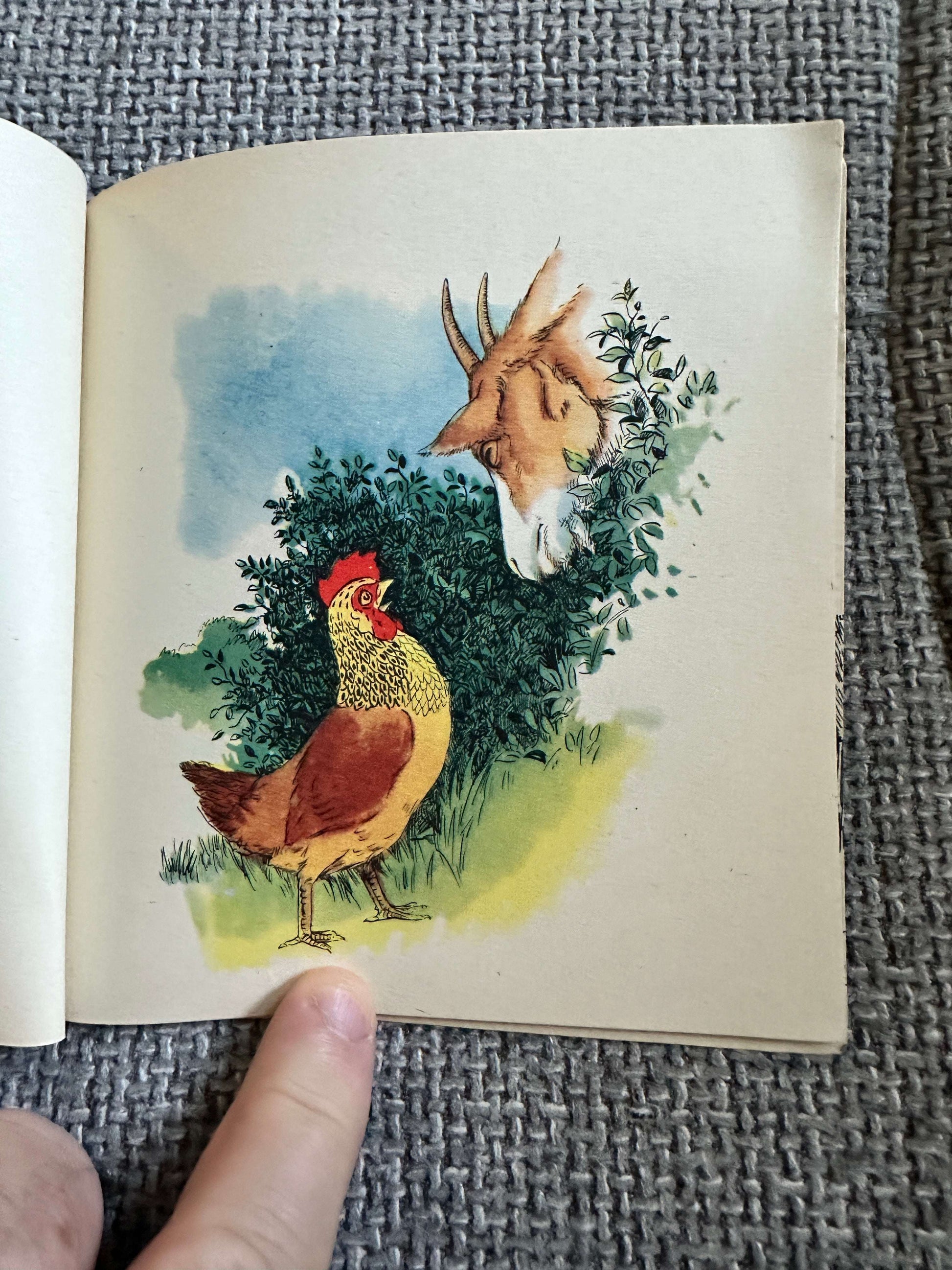 1950’s Mother Hen & Mary (BlackBerry Farm Books) Jane Pilgrim (F. Stocks May Illust) Brockhampton Press