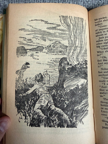 1948 The Sea Of Adventure - Enid Blyton (Stuart Tresillian illust) Thames - Honeyburn Books (UK)