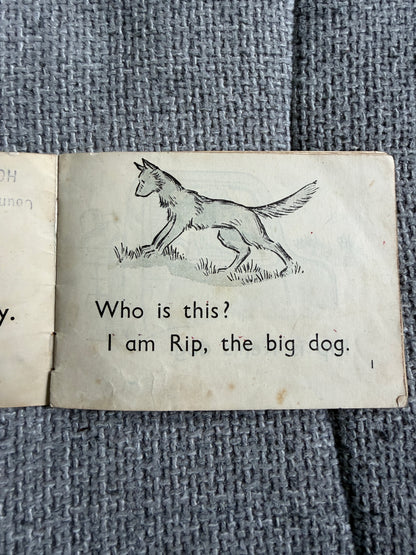 1965 Lots Of Dogs (The Gay Way Series) Green Stories - E. R. Boyce (MacMillan & Co. Ltd) - Honeyburn Books (UK)
