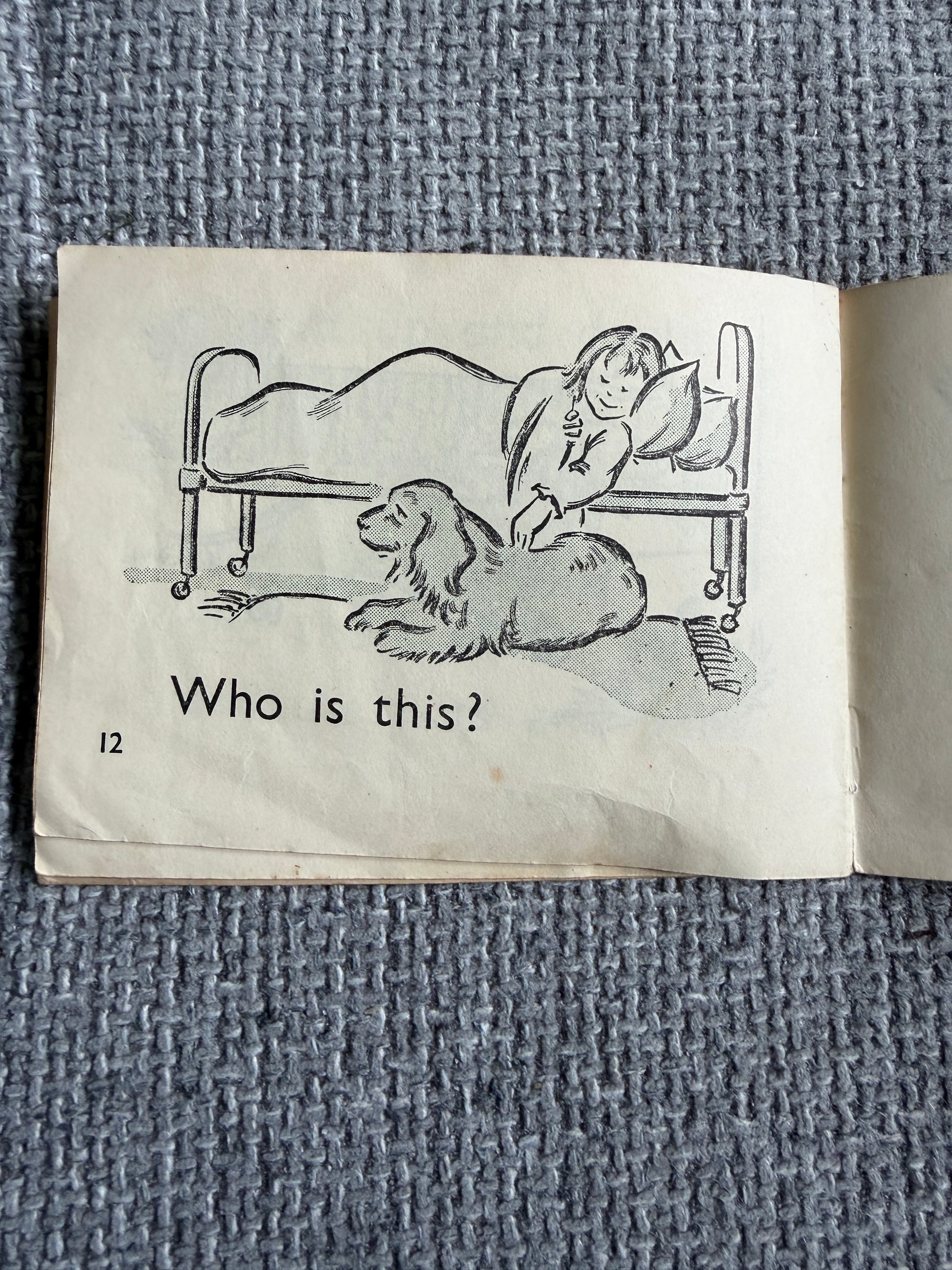 1965 Lots Of Dogs (The Gay Way Series) Green Stories - E. R. Boyce (MacMillan & Co. Ltd) - Honeyburn Books (UK)