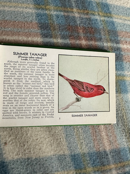 1954 The Green Book Of Birds Of America - Frank G. Ashbrook(Paul Moller illustration)Whitman Publishing