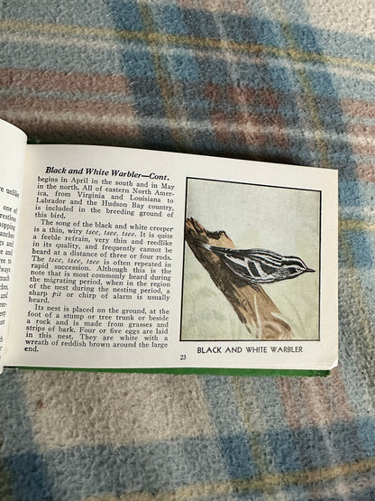 1954 The Green Book Of Birds Of America - Frank G. Ashbrook(Paul Moller illustration)Whitman Publishing