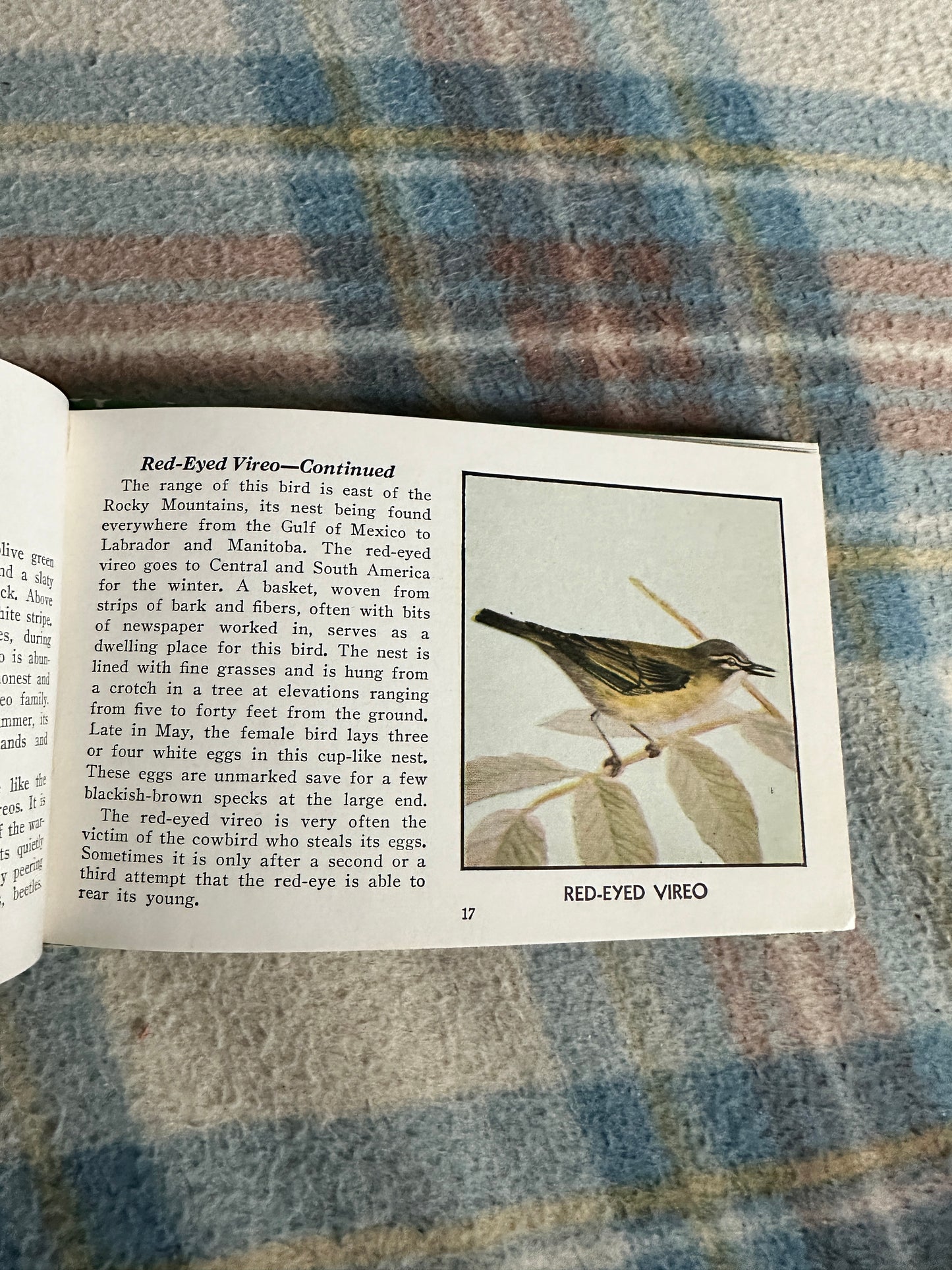 1954 The Green Book Of Birds Of America - Frank G. Ashbrook(Paul Moller illustration)Whitman Publishing