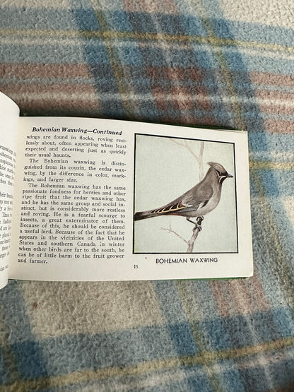 1954 The Green Book Of Birds Of America - Frank G. Ashbrook(Paul Moller illustration)Whitman Publishing