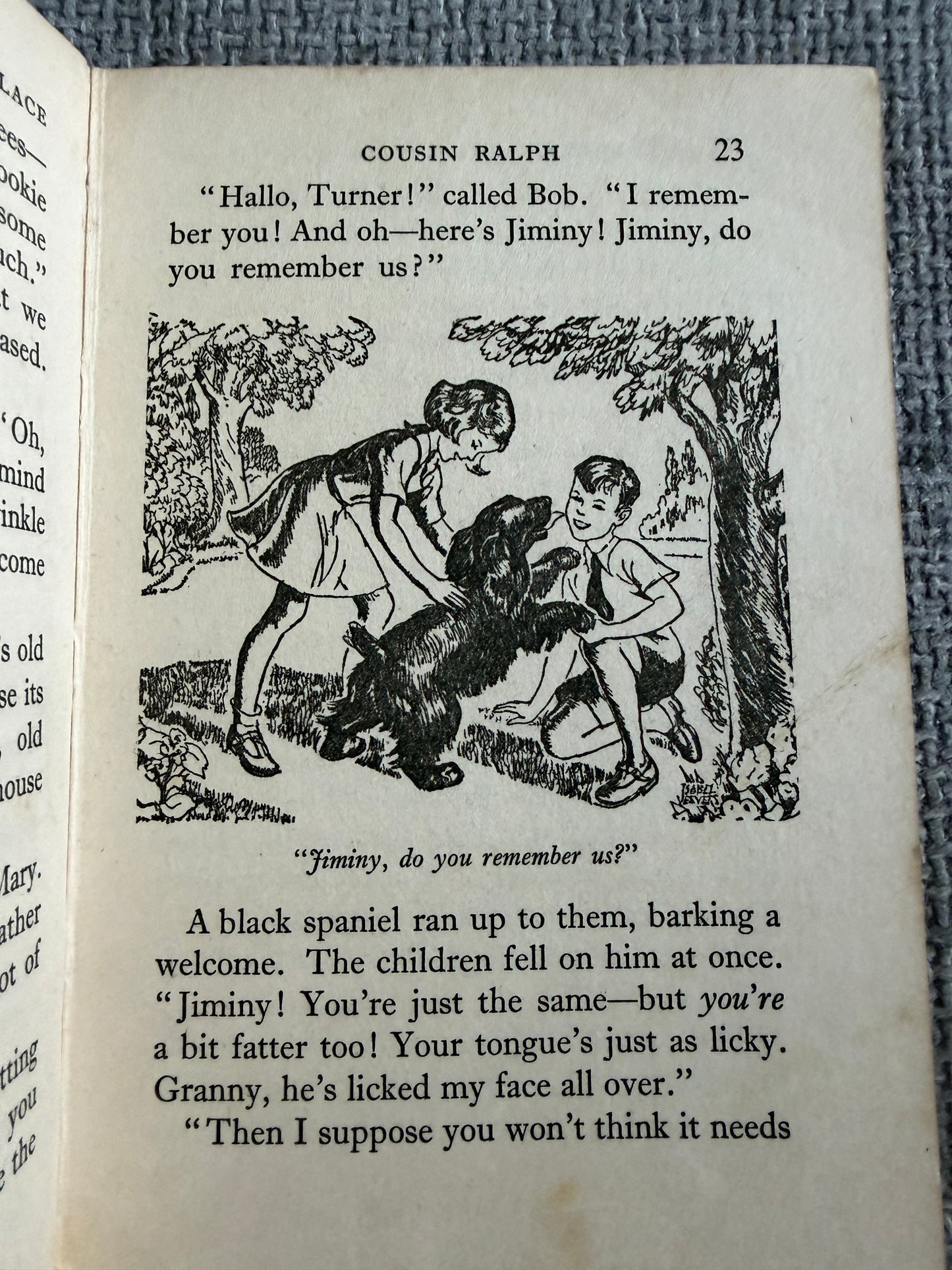 1954*1st* The Adventure Of The Secret Necklace - Enid Blyton (Isabel Veevers illust) Lutterworth Press - Honeyburn Books (UK)