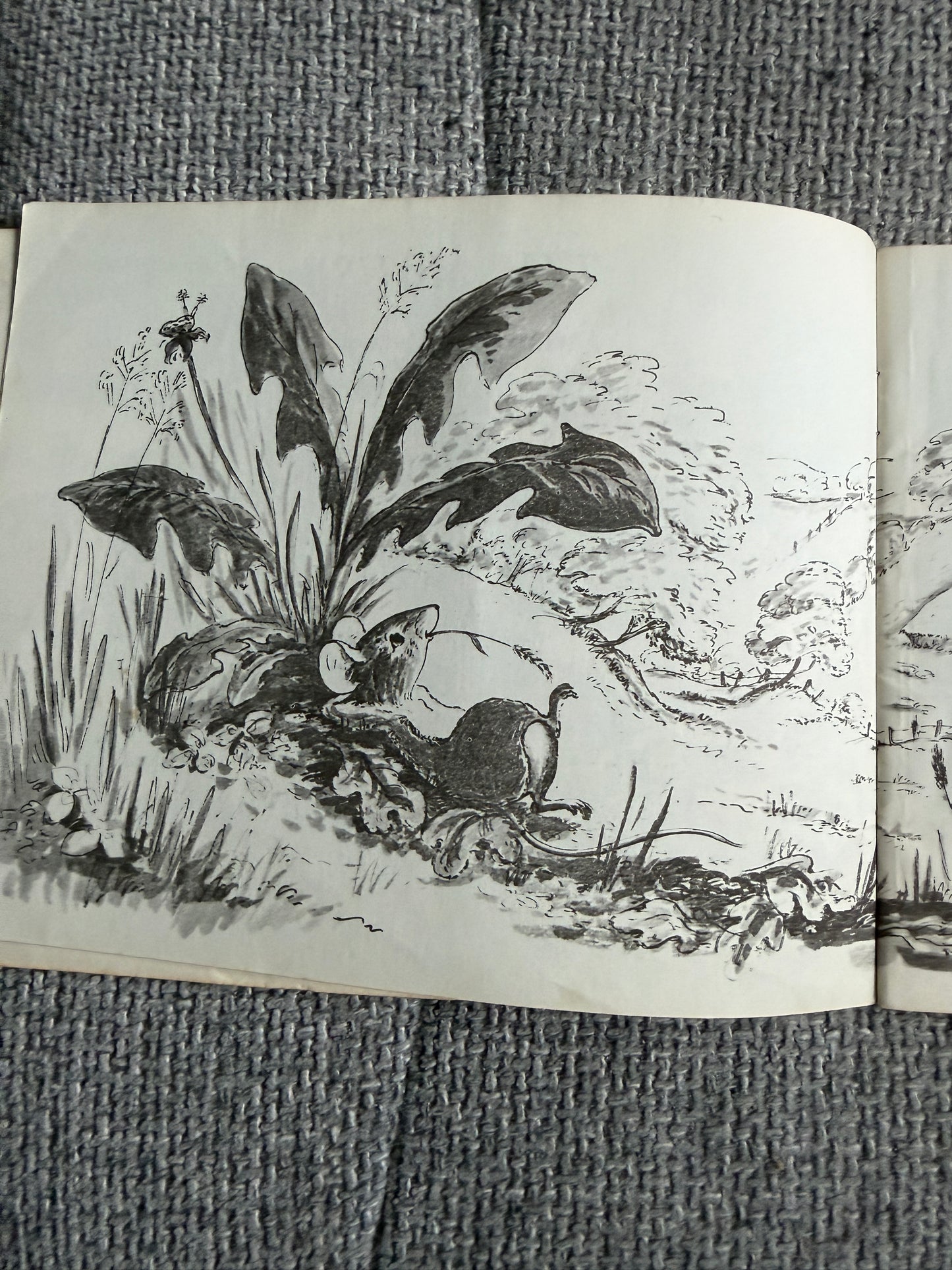 1971 Tim Mouse - Judy Brook (Written & illust) Picture Puffin - Honeyburn Books (UK)