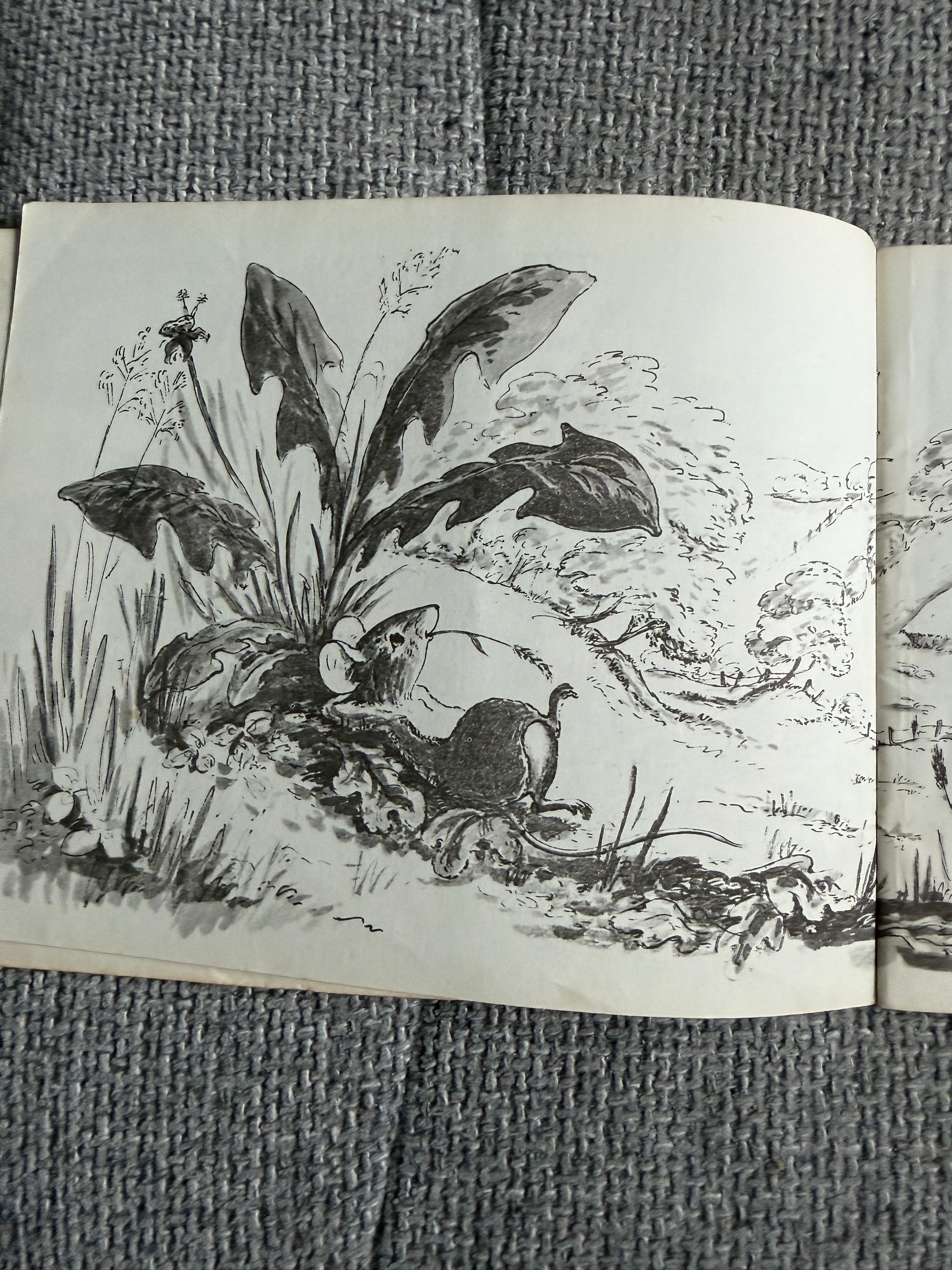 1971 Tim Mouse - Judy Brook (Written & illust) Picture Puffin - Honeyburn Books (UK)