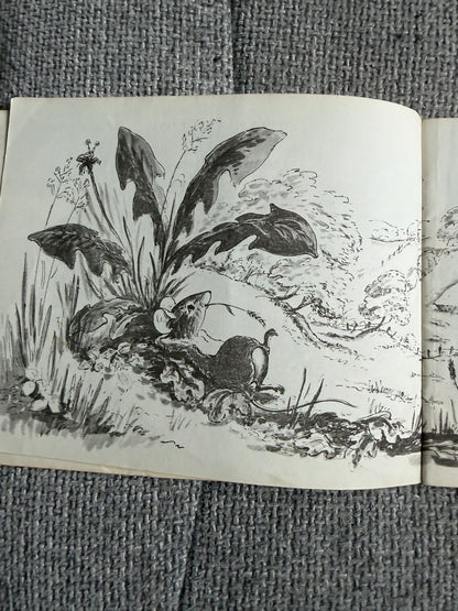 1971 Tim Mouse - Judy Brook (Written & illust) Picture Puffin - Honeyburn Books (UK)