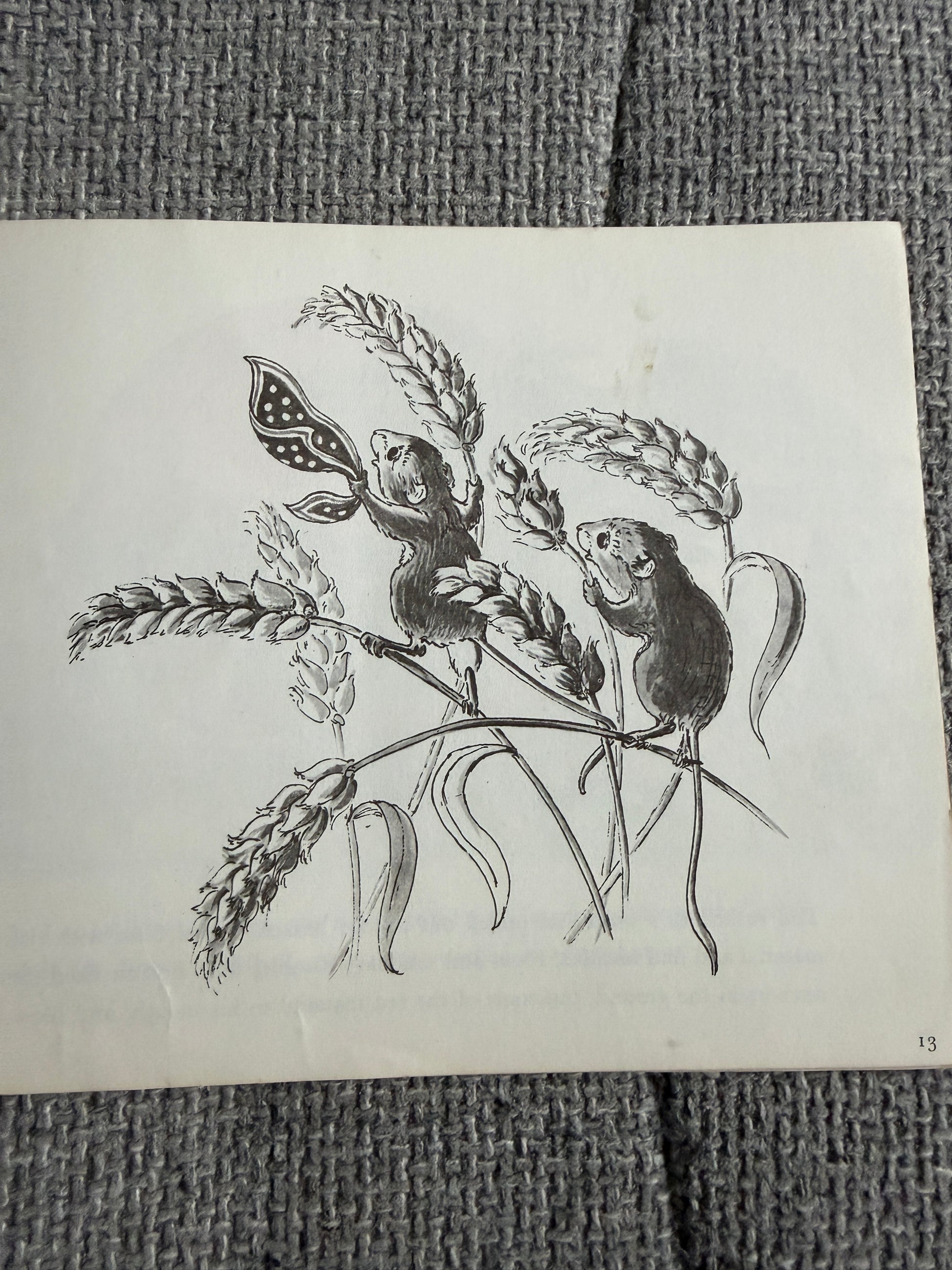 1971 Tim Mouse - Judy Brook (Written & illust) Picture Puffin - Honeyburn Books (UK)