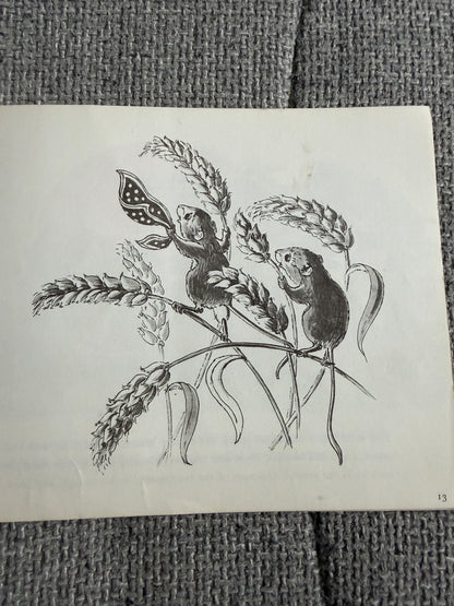 1971 Tim Mouse - Judy Brook (Written & illust) Picture Puffin - Honeyburn Books (UK)
