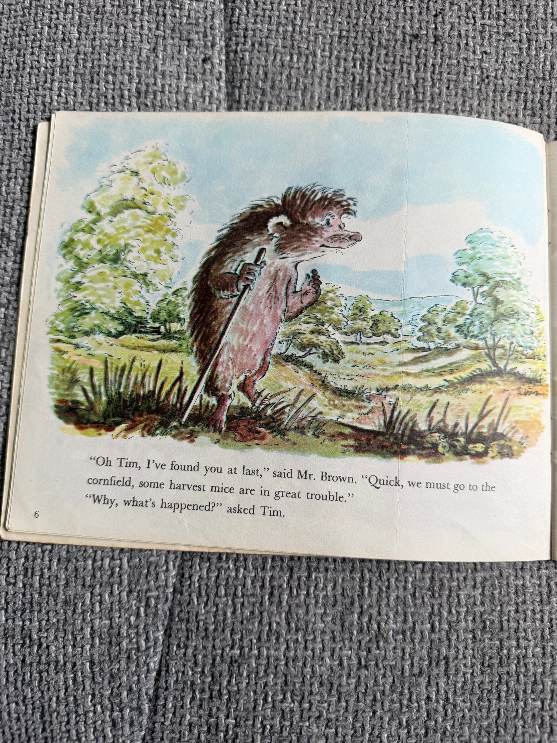 1971 Tim Mouse - Judy Brook (Written & illust) Picture Puffin - Honeyburn Books (UK)