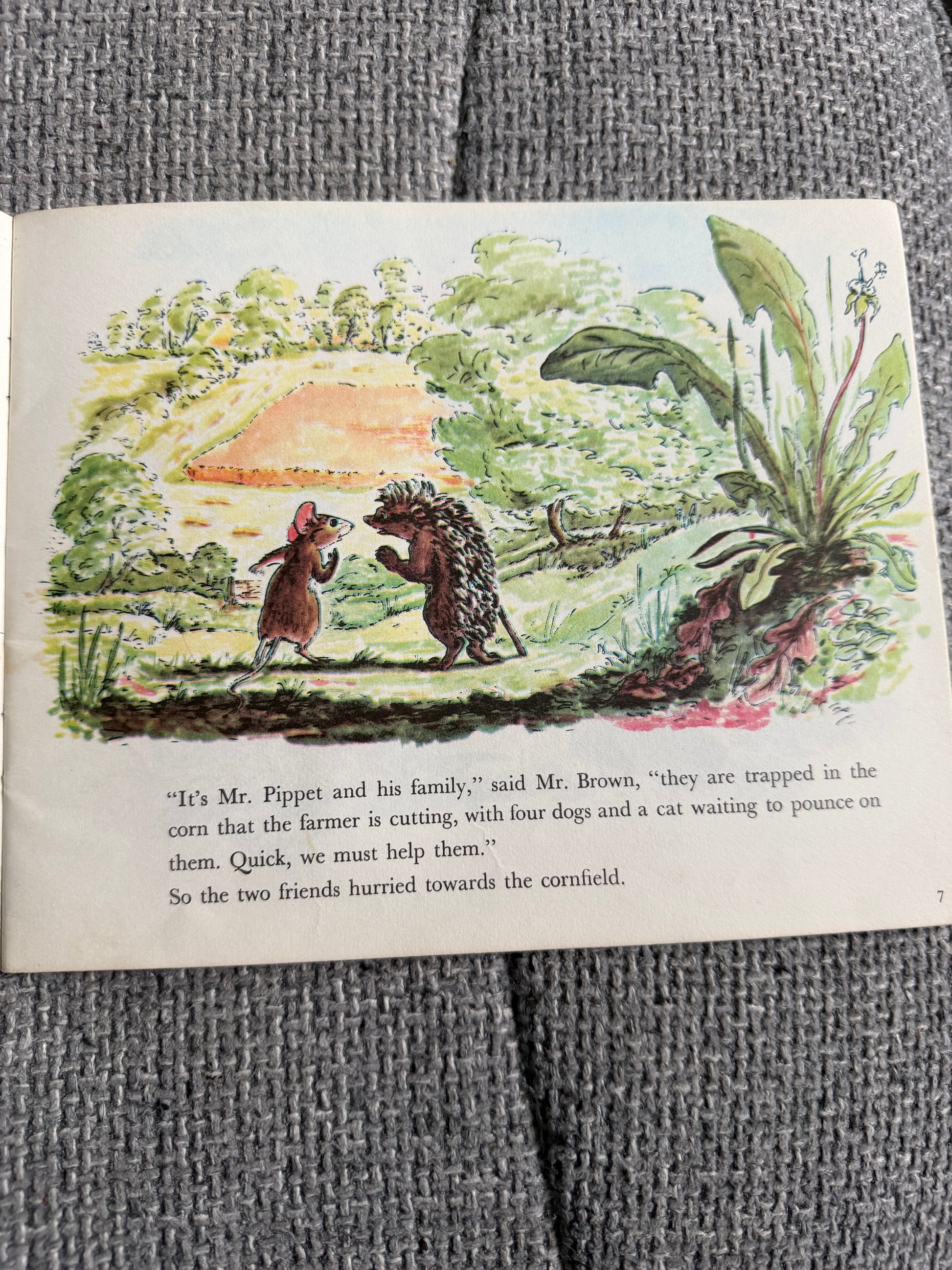 1971 Tim Mouse - Judy Brook (Written & illust) Picture Puffin - Honeyburn Books (UK)