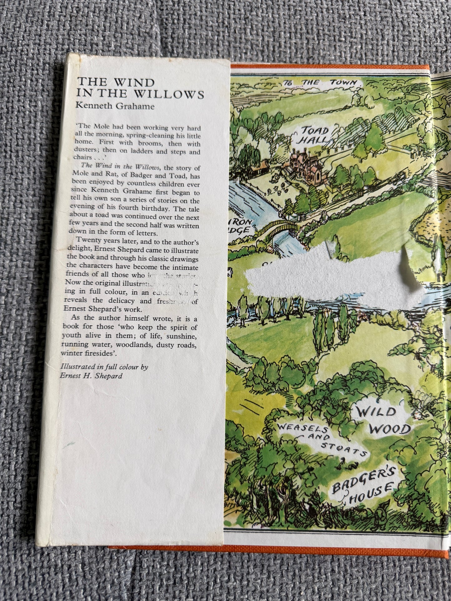 1978 The Wind In The Willows - Kenneth Grahame (Ernest H. Shepard illust) Book Club - Honeyburn Books (UK)