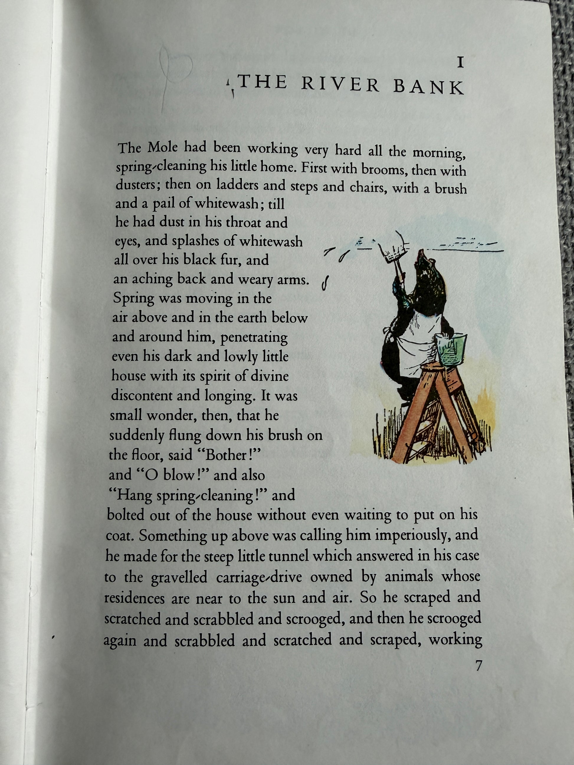 1978 The Wind In The Willows - Kenneth Grahame (Ernest H. Shepard illust) Book Club - Honeyburn Books (UK)