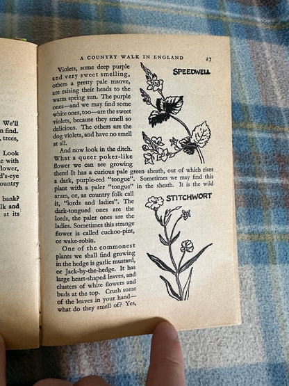 1965 Sunshine Book - Enid Blyton(Dean & Son Ltd)