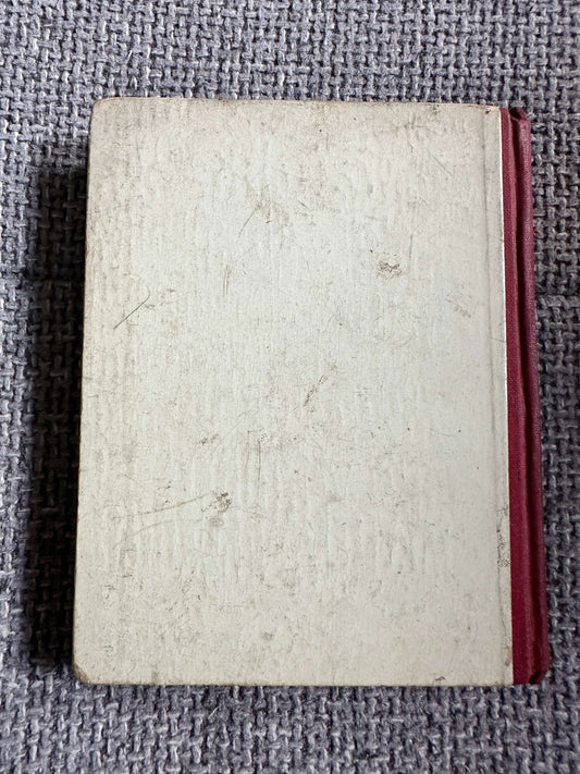 1900 Pudgy - Dickie Hughes (Ernest Nister Publisher)