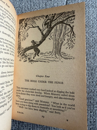 1971 The Boy Next Door (Junior Story Books) Enid Blyton (Gilbert Dunlop illust) Collins - Honeyburn Books (UK)