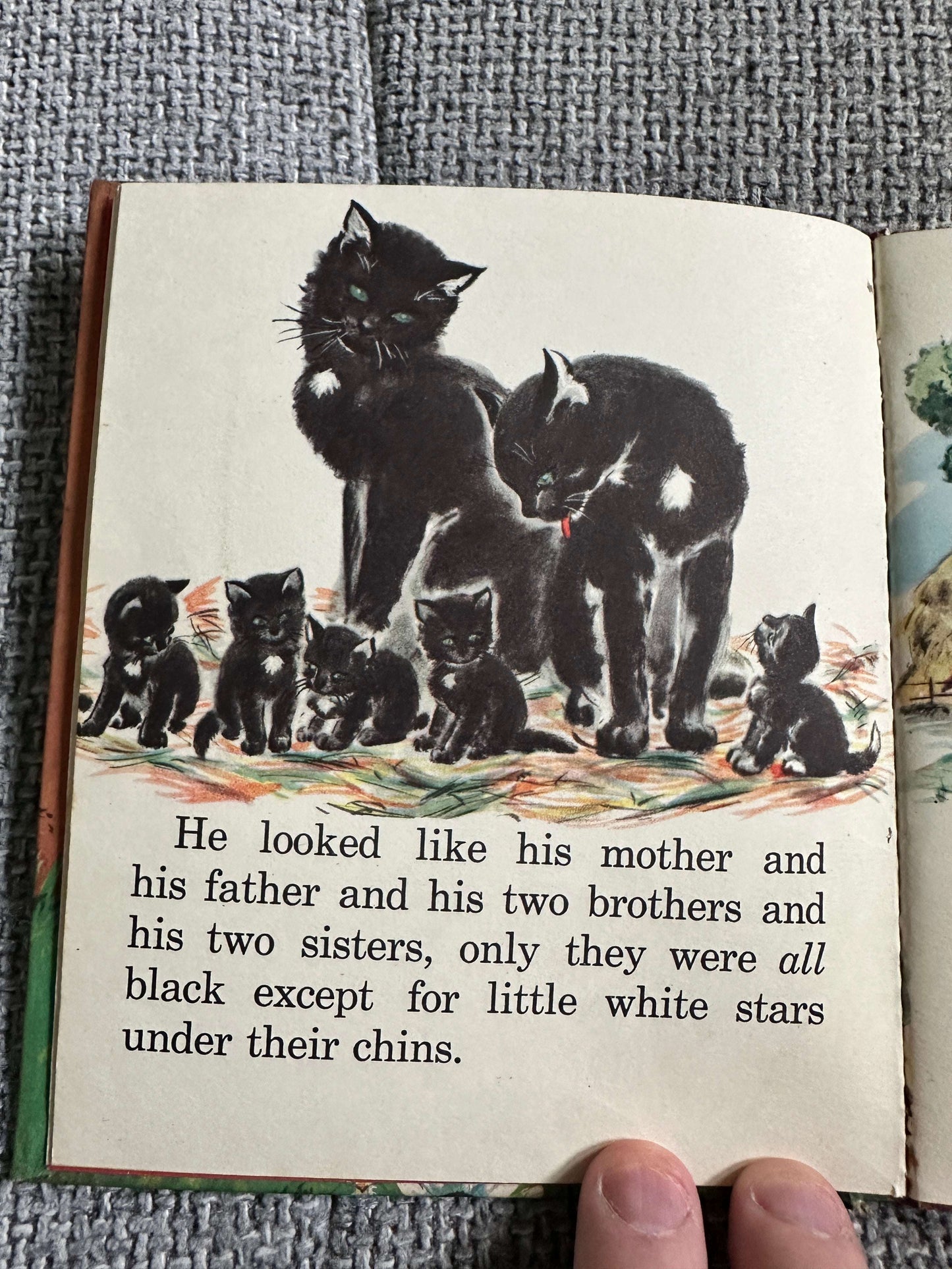 1949 Socks - Betty Molgard Ryan (Florence Sarah Winship Illust) Raphael Tuck & Sons Ltd