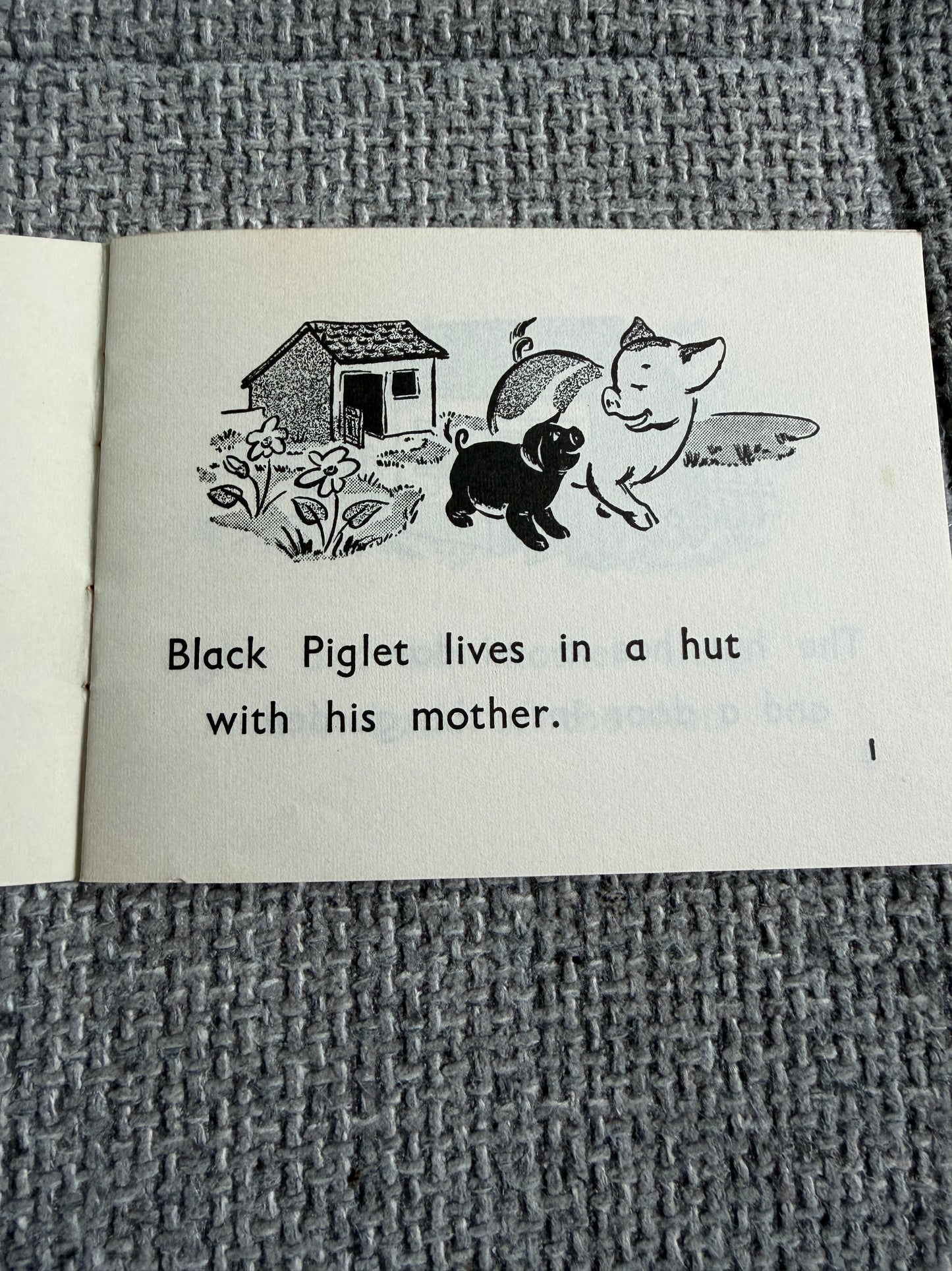 1967 The Black Piglet ( Blue Stories: Gay Way Series) E. R. Boyce (MacMillan & Co Ltd) - Honeyburn Books (UK)