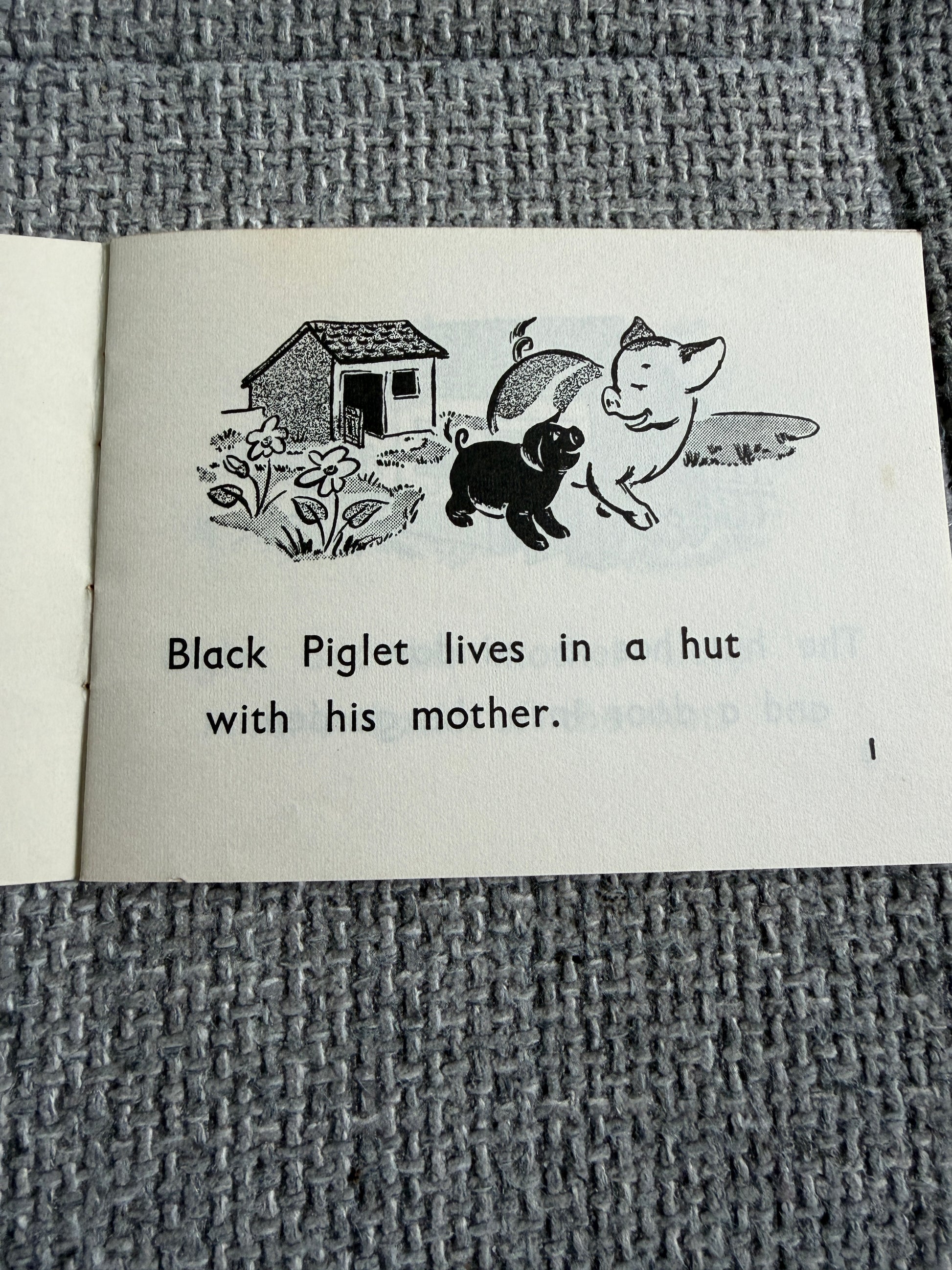 1967 The Black Piglet ( Blue Stories: Gay Way Series) E. R. Boyce (MacMillan & Co Ltd) - Honeyburn Books (UK)