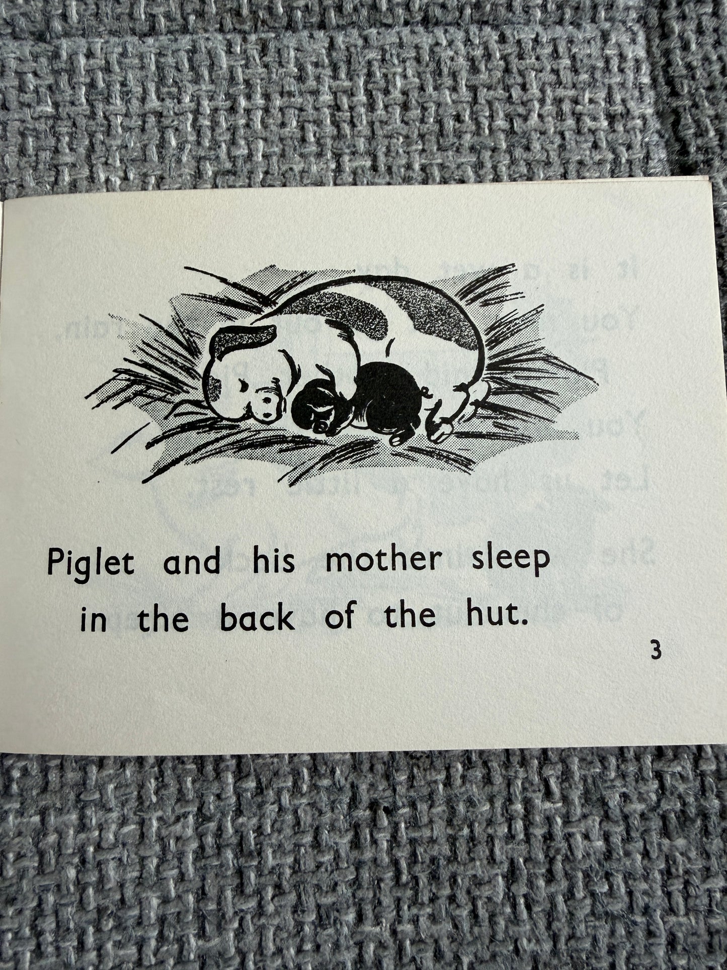 1967 The Black Piglet ( Blue Stories: Gay Way Series) E. R. Boyce (MacMillan & Co Ltd) - Honeyburn Books (UK)